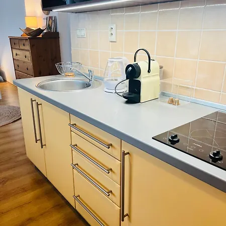 Apartman Charming Studio In The Old Town Pozsony